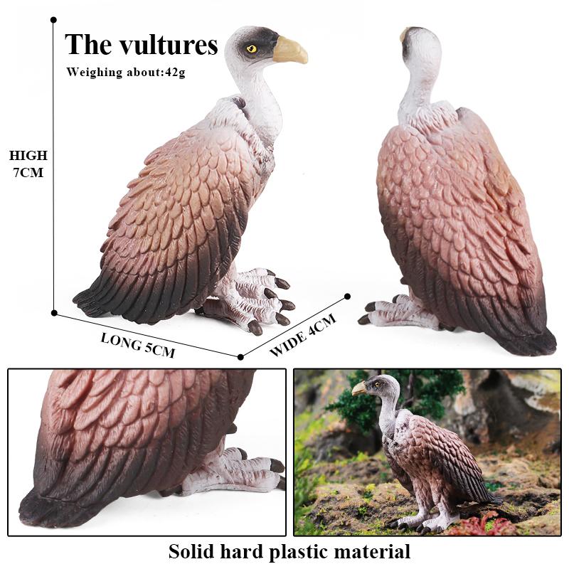 Oenux Forest Bird Animals Wild Ostrich Magpie Owl Crow Flamingos Figurines Action Figure PVC Garden Decoration Miniature Kid Toy