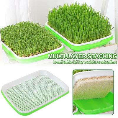 Hydroponic Sprouting Tray For Pea Bean Wheat Cat Grass Soilless Seedling Germination Box Nursery Plate Seed Sprouter Grow Kit
