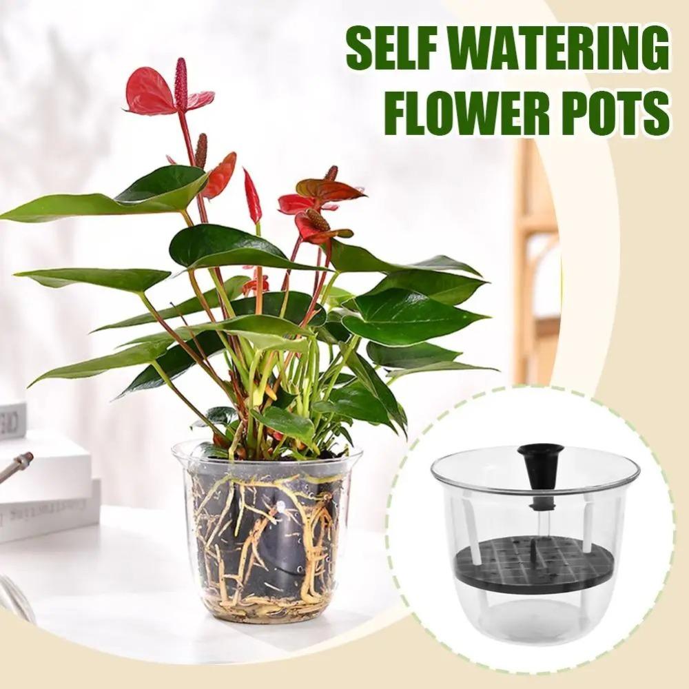1 Stück Transparenter Blumentopf Selbstbewässernder Pflanztopf mit Reservoir Selbstbewässernder Pflanztopf Büro