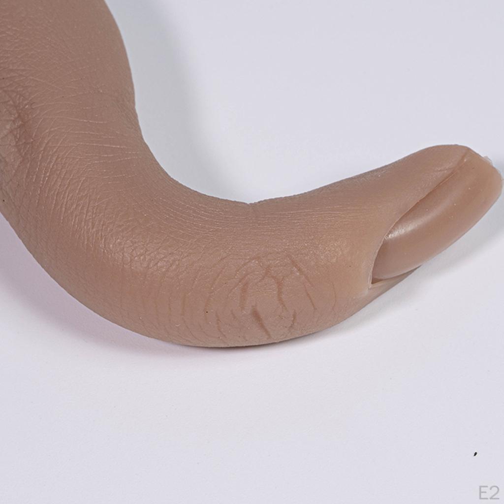 Tips Practice Training False Fingers Model