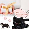 Hyack Plush Cat Body Pillow Toy, Fluffy, Realistic, Cute Gift, Black Cat (Black) [Used]