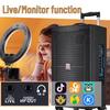 MALONE M-9115 Portable Outdoor Bluetooth Trolley Speaker with Wireless Mic CN plug (adapter included)
