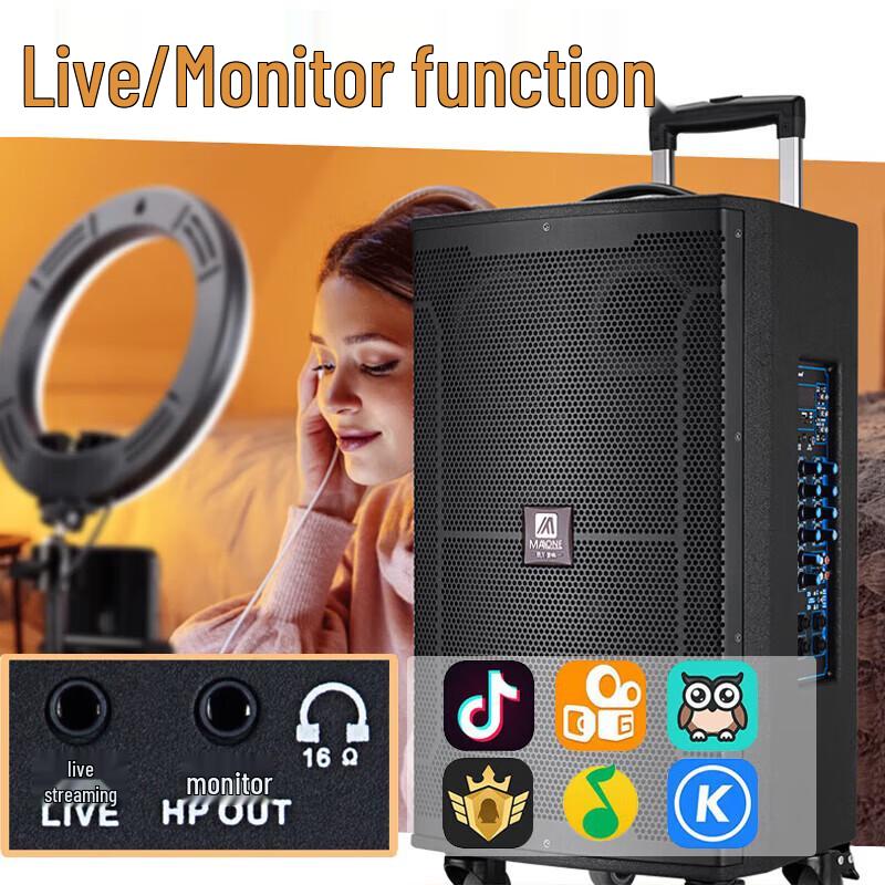 MALONE M-9115 Portable Outdoor Bluetooth Trolley Speaker with Wireless Mic CN plug (adapter included)