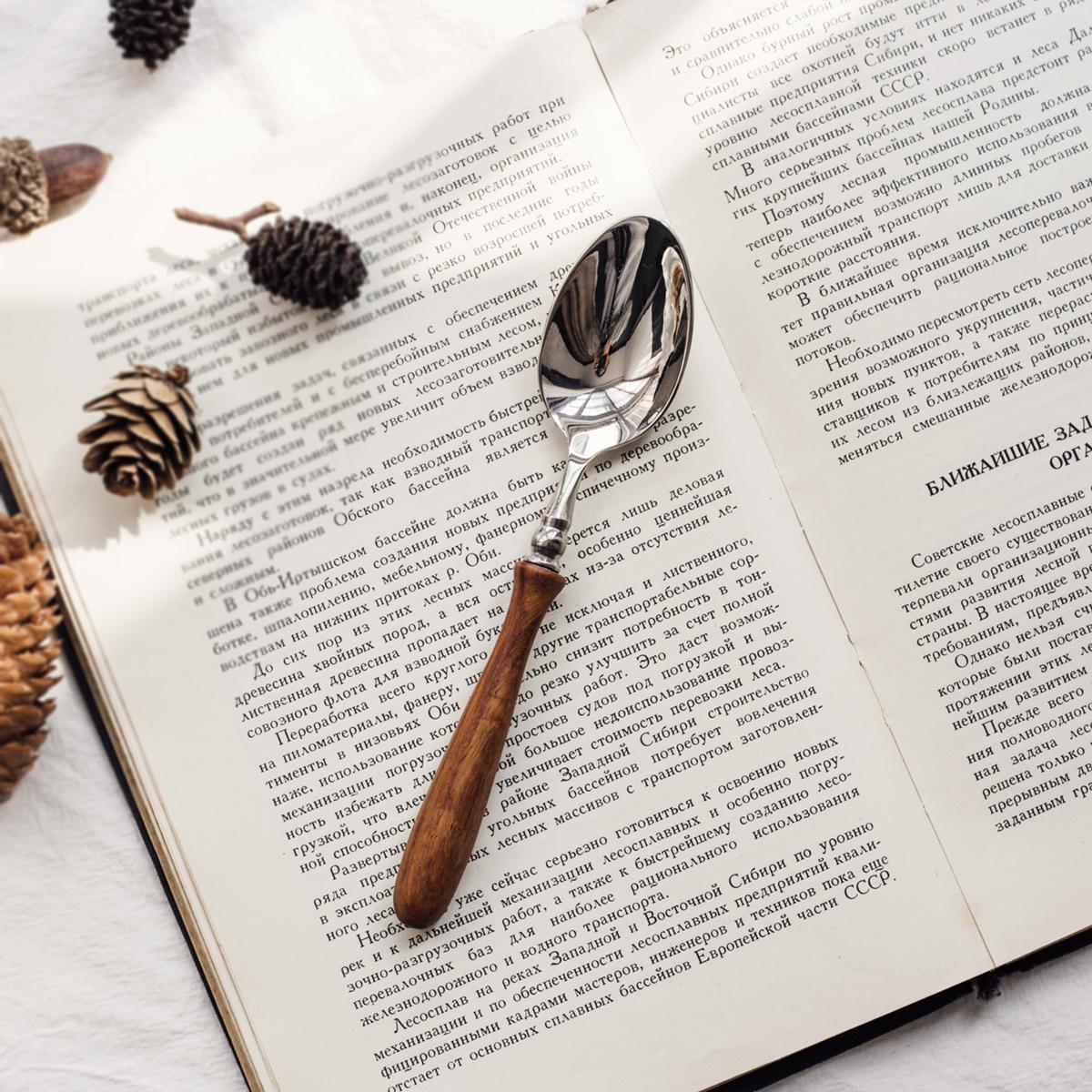 French Light Luxury Wooden Handle Western Tableware, Spoons Forks, Retro Pasta Forks, Main Course Dessert Spoons, Steak Knives
