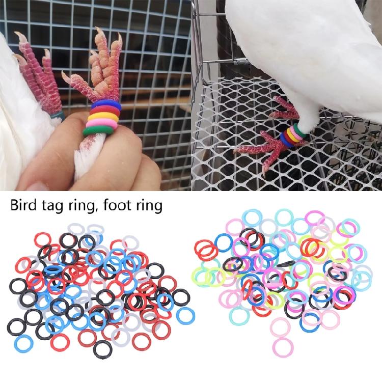 100 Piezas de Bandas de Pie de Palomas de Colores Perfectas Para el Entrenamiento de Pájaros Con Cómoda Construcción de Goma
