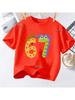 Kids Number 67 Graphic TShirt Soft Cotton Crew Neck Cute  Cool Birthday Wear for Boys  Girlsdf0067