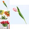 Tulipa Gesneriana Artificial Flower Home Decor Wedding Bouquets For Photography And Events
