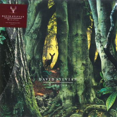 LP Record DAVID SYLVIAN - Manafon 3876876 Samadhisound, U 2022 UK & Europ Dance & Electronica
