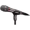 Audio-Technica AE6100 Dynamic Microphone XLR Ultra Unidirectional Microphone Vocal Live DTM Micro...