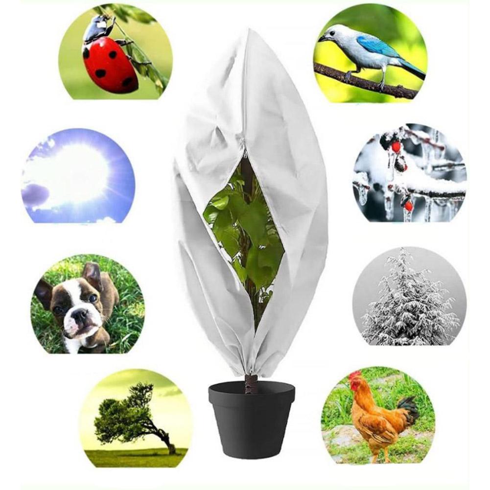 Outdoor Decor Plant Winter Cover Outdoor Plant Cover Enhances Garden Aesthetics Prevents Moisture Accumulation