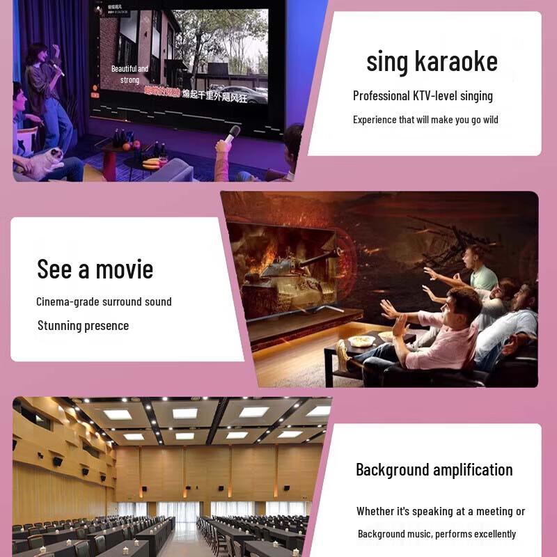 HuiDu NX-12 Professional Speaker