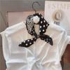 Professional Paisley Polka Dot Black Mulberry Silk Scarf for Women - Spring/Autumn Decorative Square Neckerchief