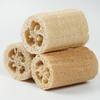 PINYU Natural Luffa Dish Brush with Handle