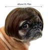 Pet Wig Dog Wig  Funny Pet Wig Halloween Pet Accessories Curly Hair Straight Hair Cat Wig It Can Be DIY Trimmed Pet Supplies