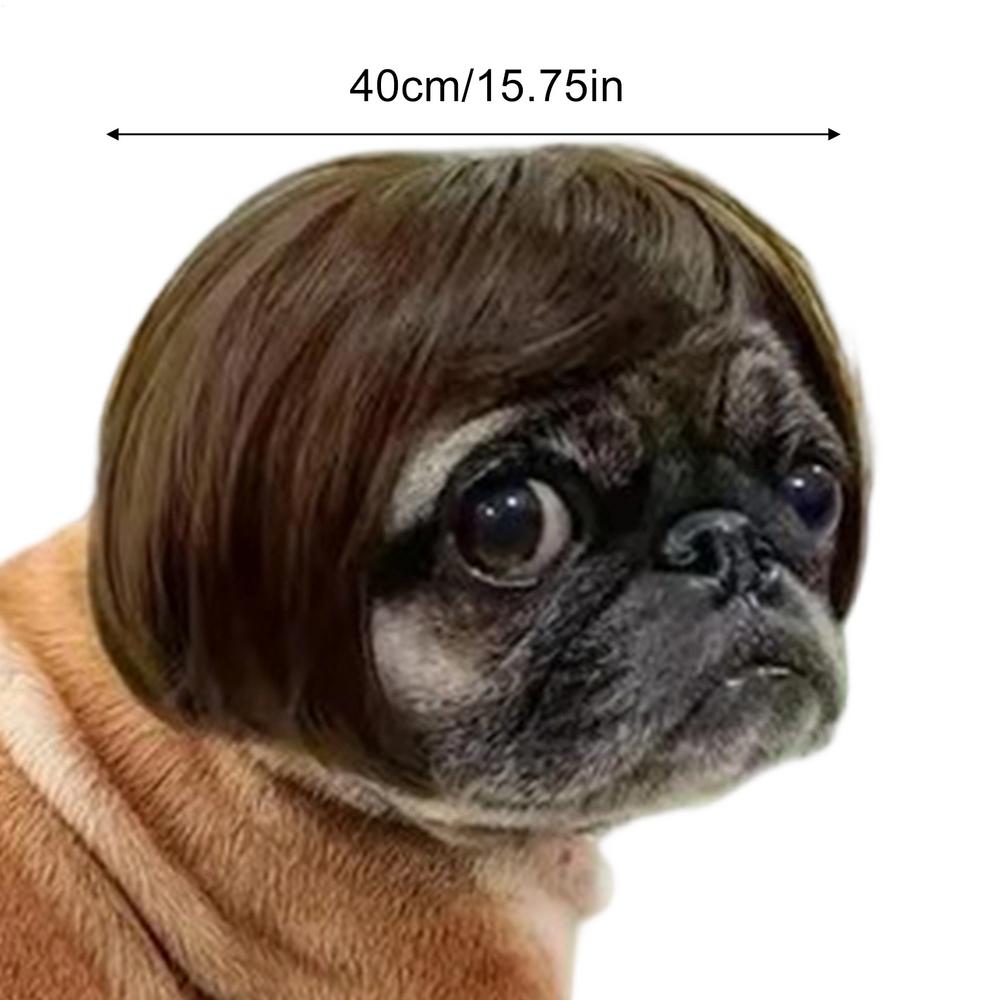 Pet Wig Dog Wig Funny Pet Wig Halloween Pet Accessories Curly Hair Straight Hair Cat Wig It Can Be DIY Trimmed Pet Supplies