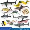 Children's Sea Creature Toy Set: Mini Squid, Tigerfish, Triggerfish, Moray Eel, Dolphin, Shark, Whale Shark