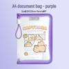 A4 Cartoon Capybara Zipper Bag - Large Capacity Transparent Storage Folder for Students