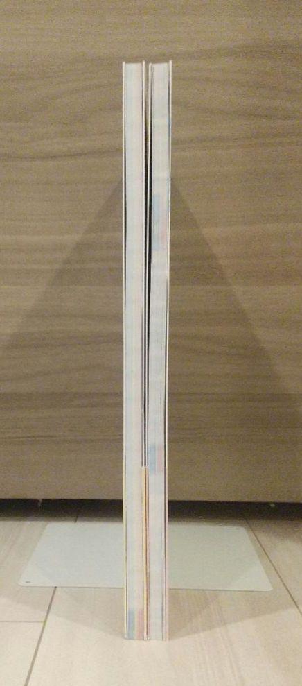 [USED] Art Book "Otona no Moe-oh" and "Sugoi Otona no Moe-oh" 2-book set