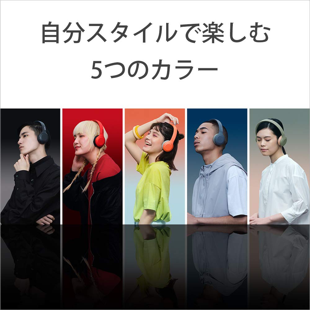 Sony WH-H810 Wireless Headphones Hi-Res Compatible Alexa Built-in Bluetooth 30H Playback Touch Sensor Compact Black WH-H810 BM