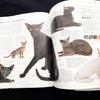 [USED] The New Encyclopedia of the Cat