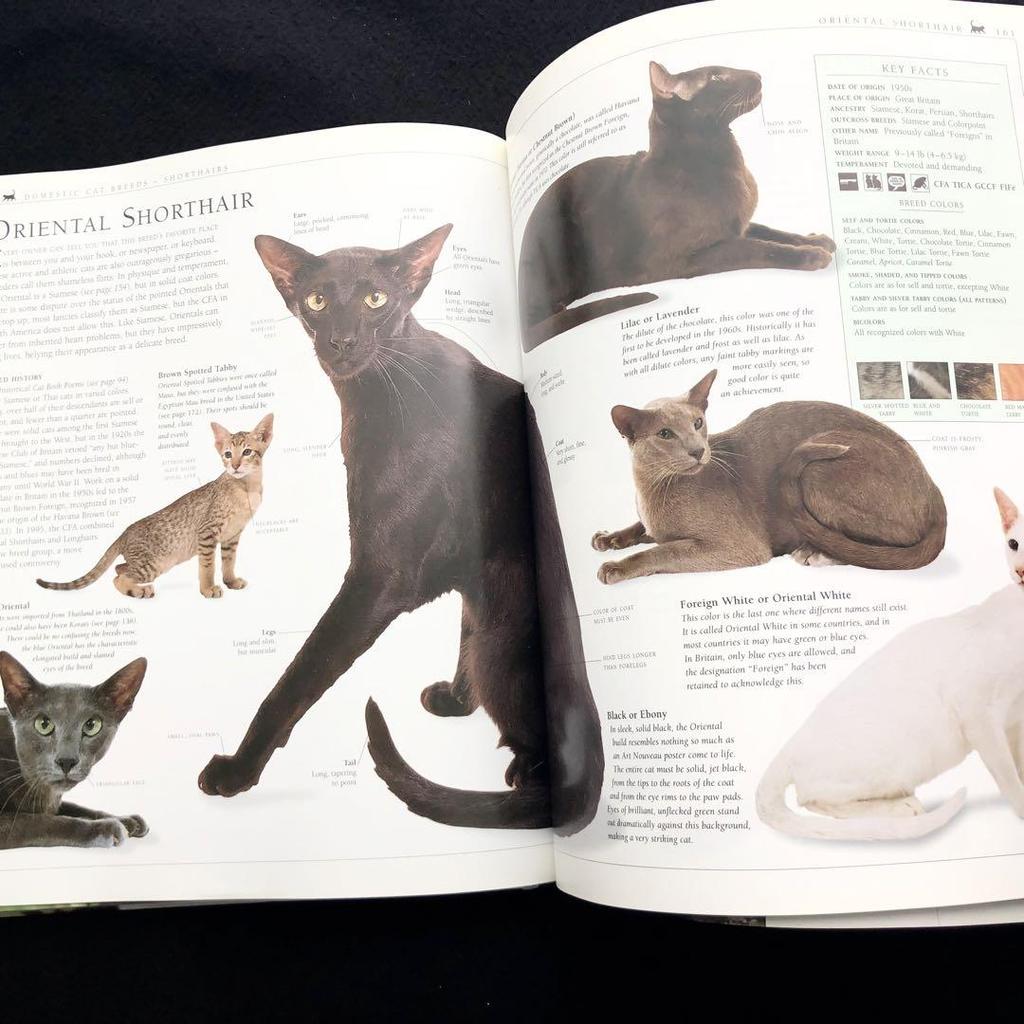 [USED] The New Encyclopedia of the Cat