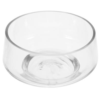 Transparent Wide Mouth Glass Planter for Mini Landscapes with Succulents Moss Hydroponic Plants Decorative Vase for Home Party