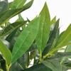 VidaXL Artificial Laurel with Pot 125 Cm Green