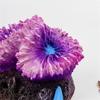 Resin Aquarium Corals Plant Ornaments Life Like Corals Reef Hideouts Place Shelter Water Plant For Fishtanks Landscape