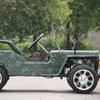 800W/1200W Electric Mini All-Terrain Children's UTV/ATV