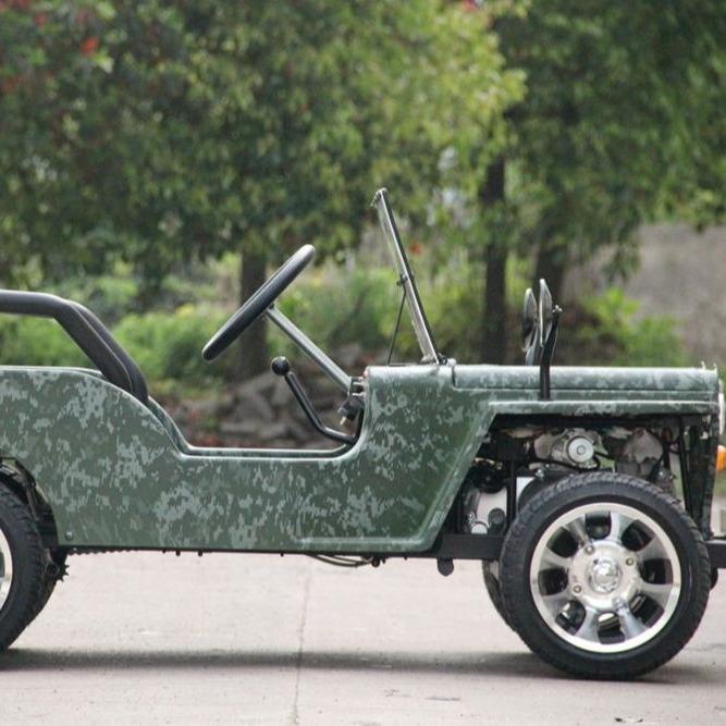 800W/1200W Electric Mini All-Terrain Children's UTV/ATV
