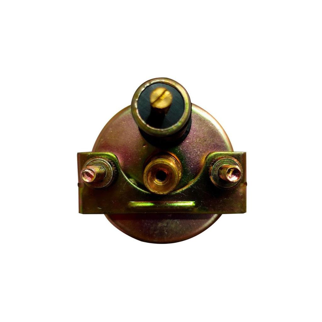 Öldruckanzeige – Geeignet für Massey Ferguson 35, 35X, 50, 50B, 65, 148, 165, 168, 175, 178, 185, 188 – Metallgehäuse, Analoganzeige