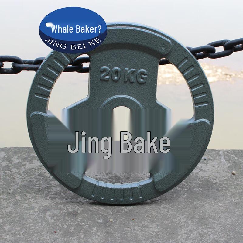 Painted Cast Iron Barbell Weight Plate