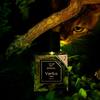 Vertus Bengal Eau De Parfum 100ml