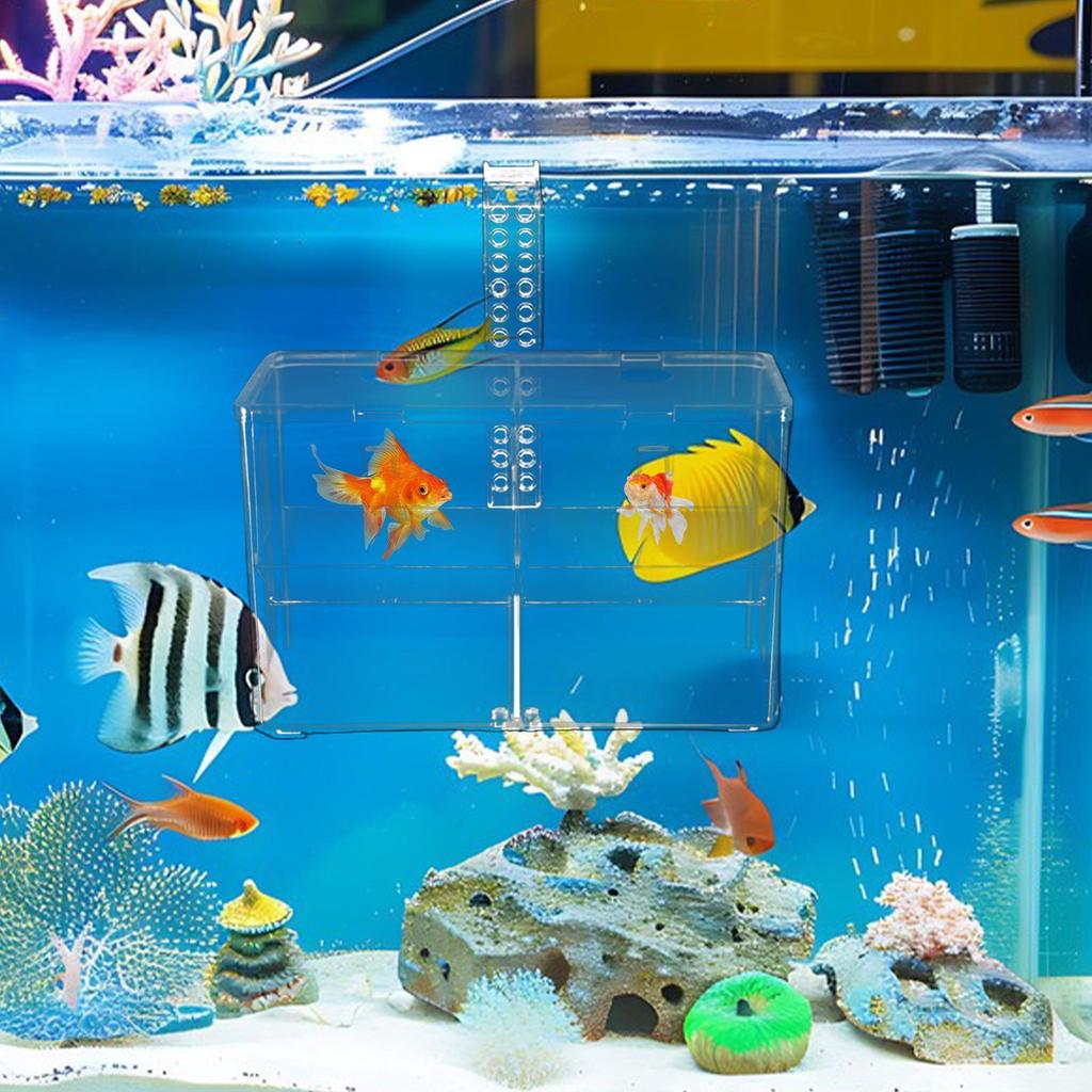 Aquarium Breeder Box Transparent Hatching Container Double-Chamber Shrimp Breeding Box for Guppy Fry Betta Shrimp Saltwater