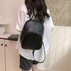Schoolbag Texture Simple Spring New Bag Fashion Leisure Personalized Backpack 1011 Niche Design Women's Backpack