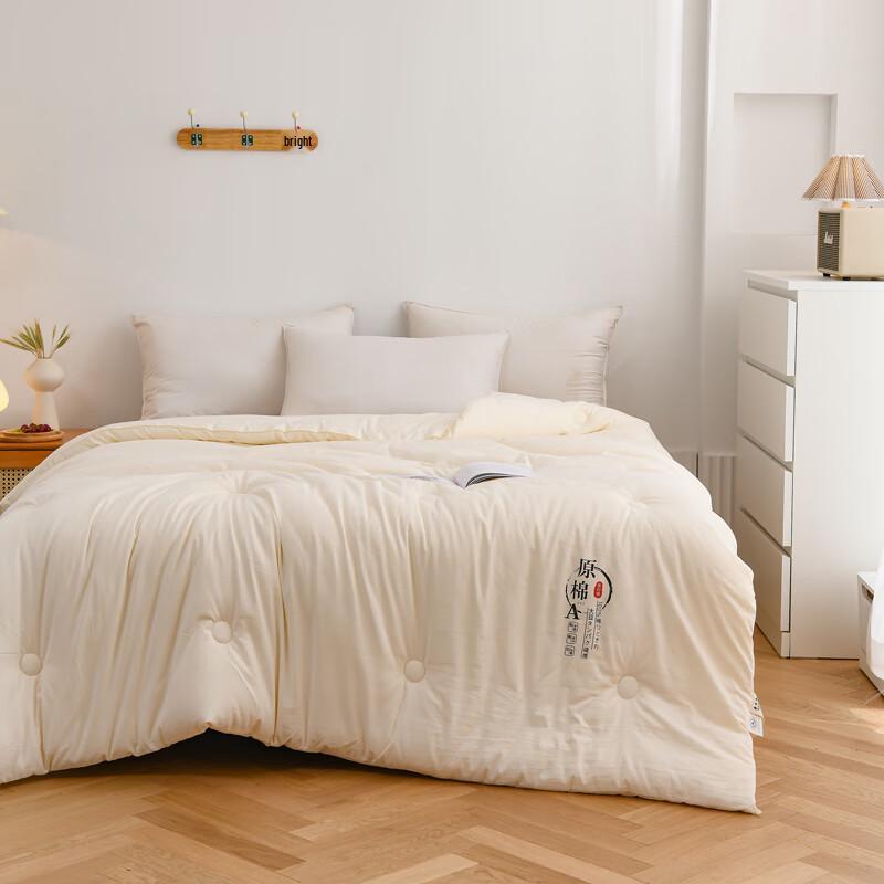 ROMROL Warm Soft Soybean Winter Quilt