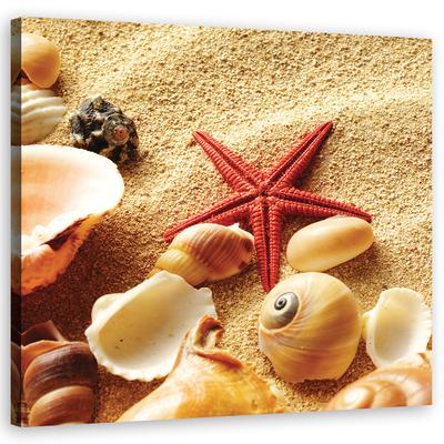 Canvas Print Shells Beach Sand