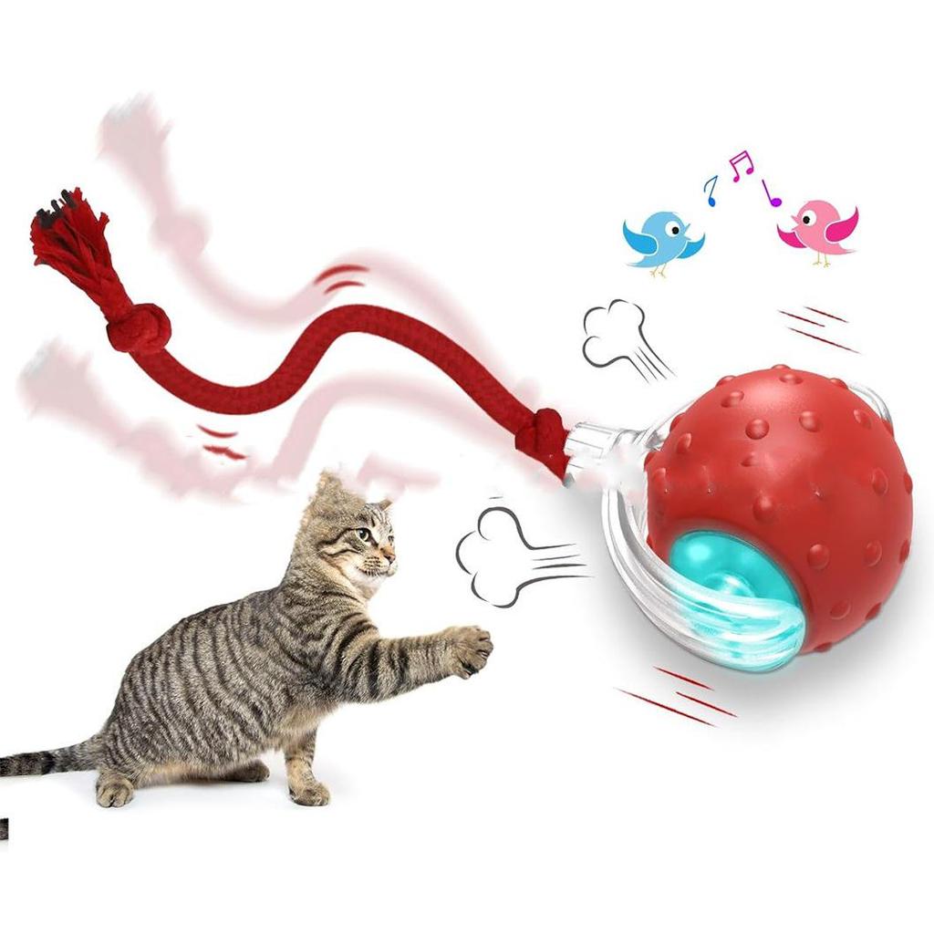 Automatic Cat Teaser Ball with Dragonfly Tail - Interactive, Self-Entertainment Toy for Physical Activity and Decompression