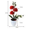 Home Decor Accent Small Chrysanthemum Realistic Design No Water Needed No Sunlight Required Year-Round Fresh Look