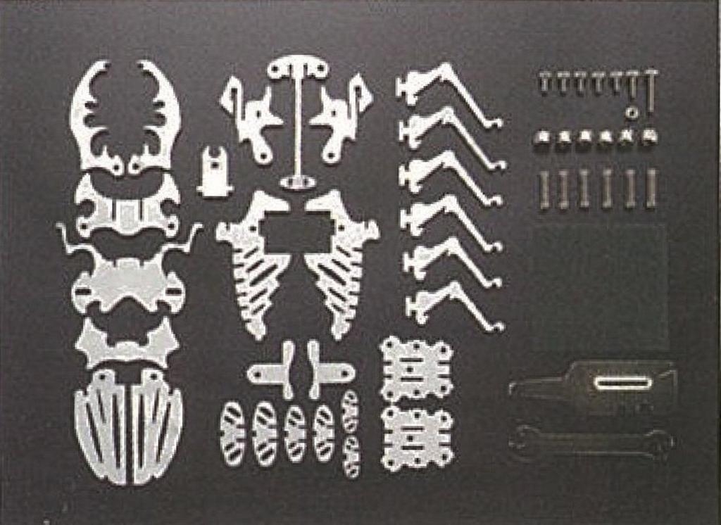 Gakken Metal Kit Series Stag Expanded and Revised Edition 8 and Q750448 Beetle, (Ages Up)