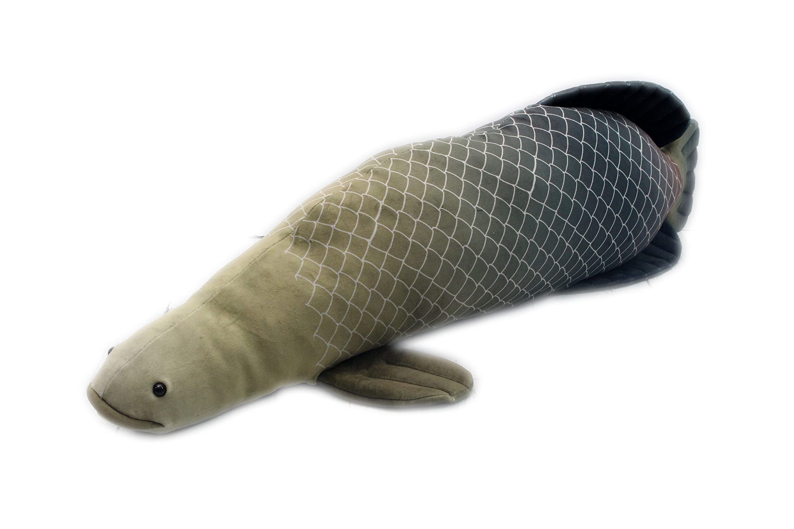 

Takeoff Pirarucu M Brown