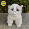 Ragdoll Cat Plush Toy High Fidelity Persian Cats Plushie Rag doll Cat Peluche Lifelike Stuffed Animals Simulation Doll Kawai Toy