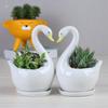 Cartoon White Swan Small Succulent Flower Pot Personalized Ceramic Crafts Office Home Ornament Gardening Creativity