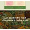 nutseline - Cica Nut Calming Balm Jumbo
