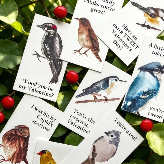 8 st Fågel Alla hjärtans dag-kort Söta Hälsningskort med Fågeltema för Fågelfantaster Unika Fågelpar-kort Jubileum Alla hjärtans dag-present till Honom Hennes