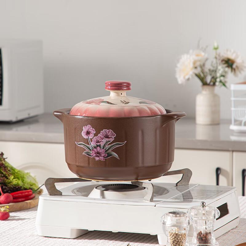 DuPont Slow Cooker