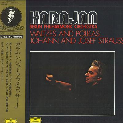 LP Record HERBERT VON KARAJAN(COND.)/BERLIN P - Karajan/Waltzes And Polkas=johann A MG96989 POLYDOOR - Japan Classical Used