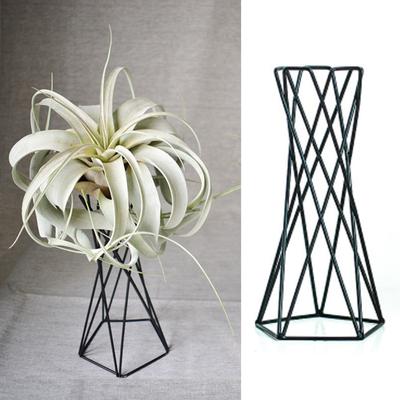 Pflanzenregal, umweltfreundlich, atmungsaktiv, nordischer Stil, robust, minimalistisch, Befestigung aus Eisen, Ananas-Design, Topfhalter, Gartenbedarf