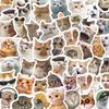 57 Autocollants Mignons Émoji Chat Imperméables pour Décoration - Style Célébrité Internet pour Bouteilles d'Eau, Ordinateurs, Téléphones et Projets DIY.