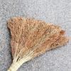 Wooden Handle Sorghum Broom - Long Style (5-Pack)